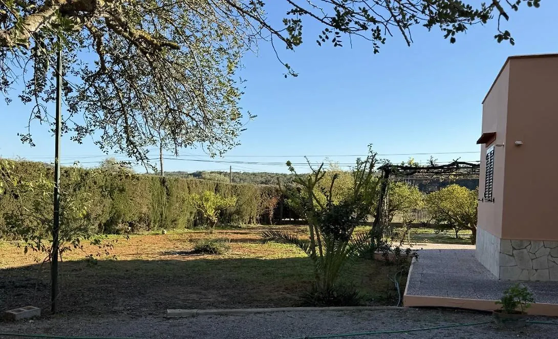 Villa Bamboo Santa Gertrudis  Espagne