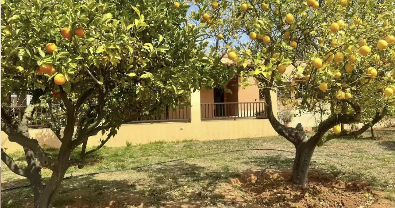Villa Bamboo Santa Gertrudis  Santa Gertrudis (Ibiza)