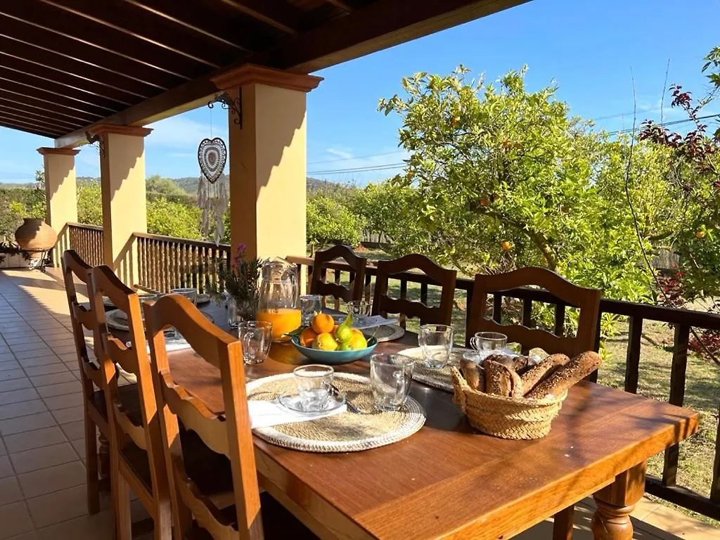 Villa Bamboo Santa Gertrudis