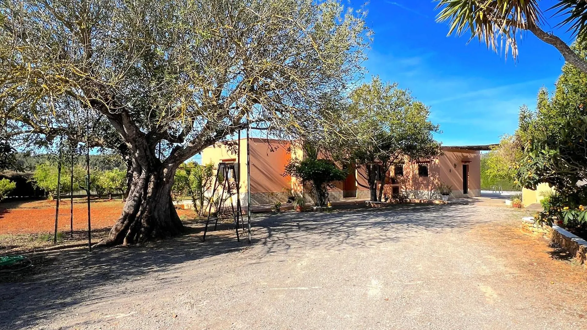 Villa Bamboo Santa Gertrudis   Santa Gertrudis (Ibiza)