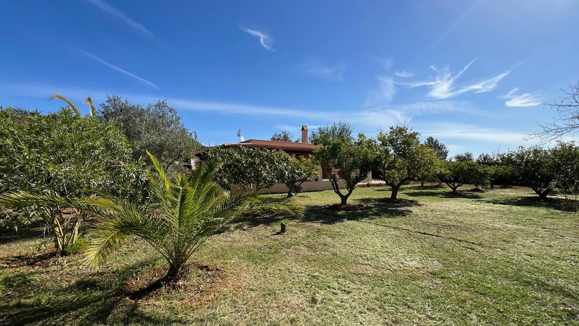 Villa Bamboo Santa Gertrudis  0*, Santa Gertrudis (Ibiza)